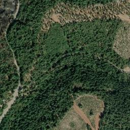 Lomo California High Resolution Satellite Map