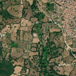 Ortueri map(satellite map)