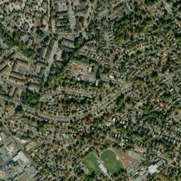 Palmyra map(satellite map)