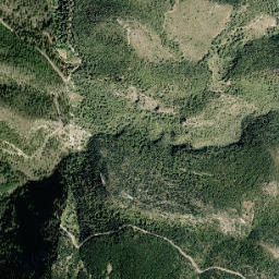Torralba del Pinar map(satellite map)