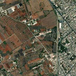 Taviano map(satellite map)