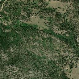 Aspen Meadows Colorado High Resolution Satellite Map