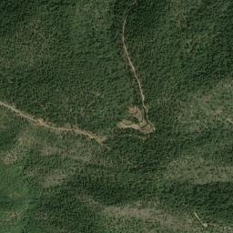 Pavías map(satellite map)
