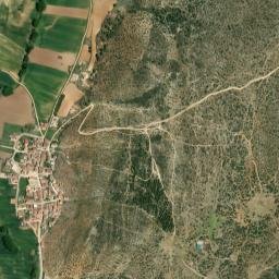 Pajaroncillo map(satellite map)