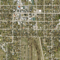 Savannah map(satellite map)