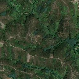 Pedrógão Grande map(satellite map)