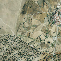 Cachorrilla map(satellite map)