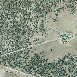 Toril map(satellite map)