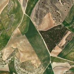 Carboneras de Guadazaón map(satellite map)