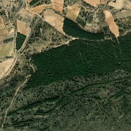La Yesa map(satellite map)