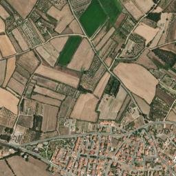 Palmas Arborea map(satellite map)
