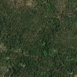 Paulson Place California High Resolution Satellite Map