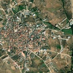 Torrico map(satellite map)