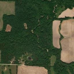 Macon County map(satellite map)