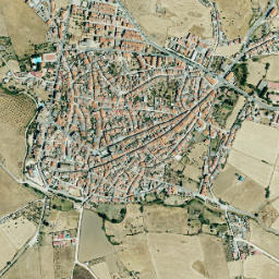 Ceclavín map(satellite map)