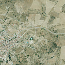 Berrocalejo map(satellite map)