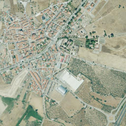 Almaraz map(satellite map)