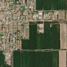 Arborea map(satellite map)