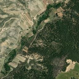 Narboneta map(satellite map)