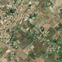 Selva map(satellite map)