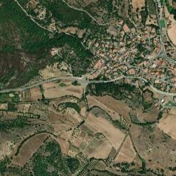 Curcuris map(satellite map)