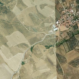 Navalmoralejo map(satellite map)