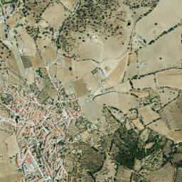 Talaván map(satellite map)