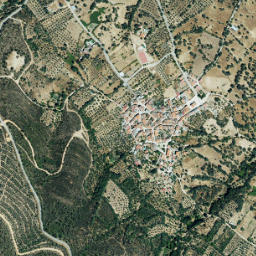 Campillo de Deleitosa map(satellite map)