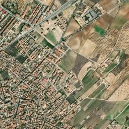 Gálvez map(satellite map)