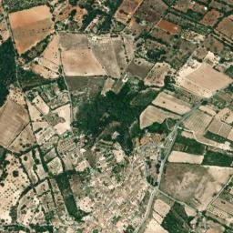 Costitx map(satellite map)