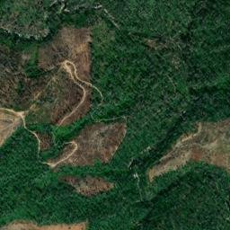 Nelsons Crossing California High Resolution Satellite Map