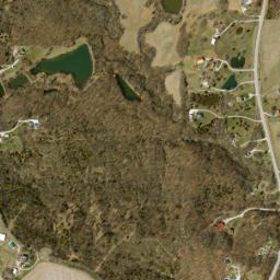 Buchanan County map(satellite map)