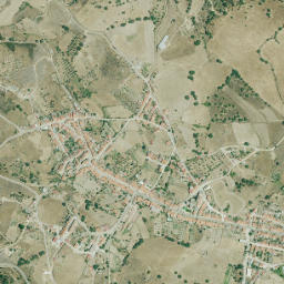 Cedillo map(satellite map)