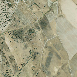 Carrascalejo map(satellite map)