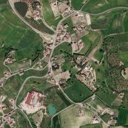 Tarsia map(satellite map)