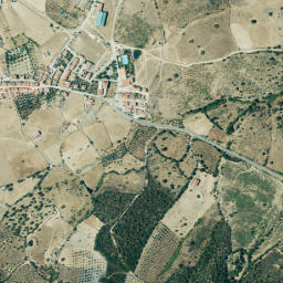 Carbajo map(satellite map)