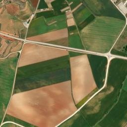 Campillo de Altobuey map(satellite map)