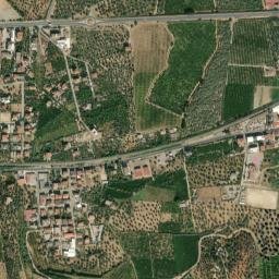 Amica map(satellite map)
