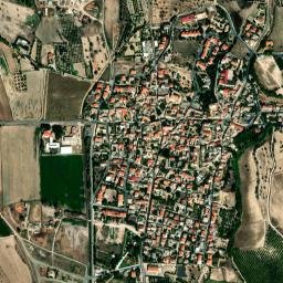 Selegas map(satellite map)