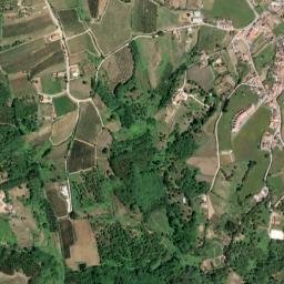 Vestiaria map(satellite map)