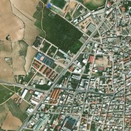 Miguel Esteban map(satellite map)