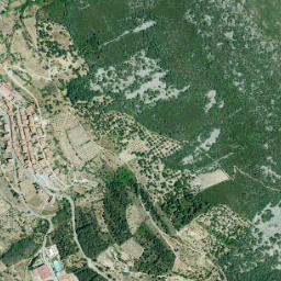 Navezuelas map(satellite map)