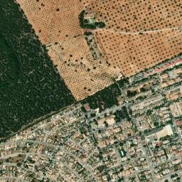 Son Ferrer map(satellite map)