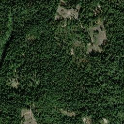 Weeds Point California High Resolution Satellite Map