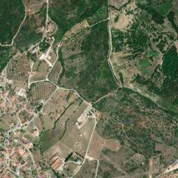 Monsanto map(satellite map)