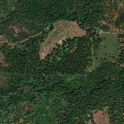 Challenge-Brownsville map(satellite map)