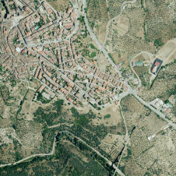 Guadalupe map(satellite map)