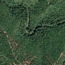 Redwood Lodge California High Resolution Satellite Map