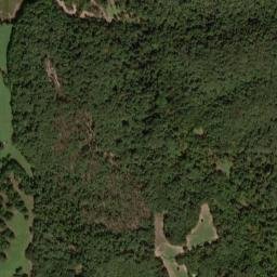Randolph County map(satellite map)
