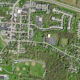 Monroe map(satellite map)